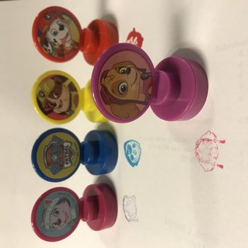 MIX PAW PATROL KAŞELERİ (36 Adet)