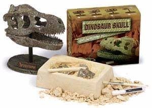 Dinozor Kafatası Kazı Seti (12 adet)