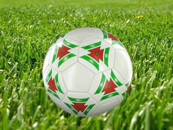 FUTBOL TOPU - MODEL 1 (6 adet)
