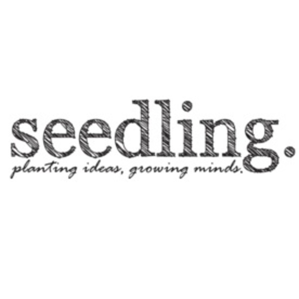 Seedling Oyuncakları