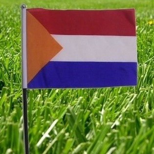 Hollanda Bayrağı (22 Adet)