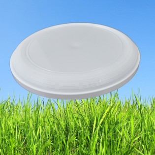 STANDART FRİZBİ 21 CM (25 adet)