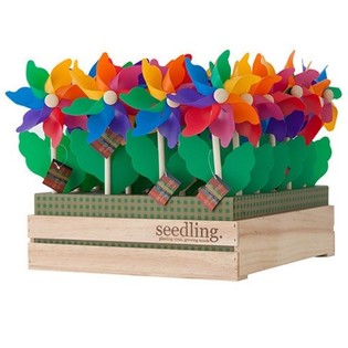 SEEDLING - Ahşap Standlı R&uuml;zgar G&uuml;lleri (20 Adet)